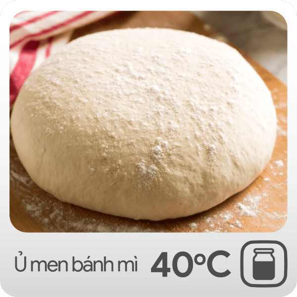 tHAY THẾ MÁY, TỦ Ủ BỘT